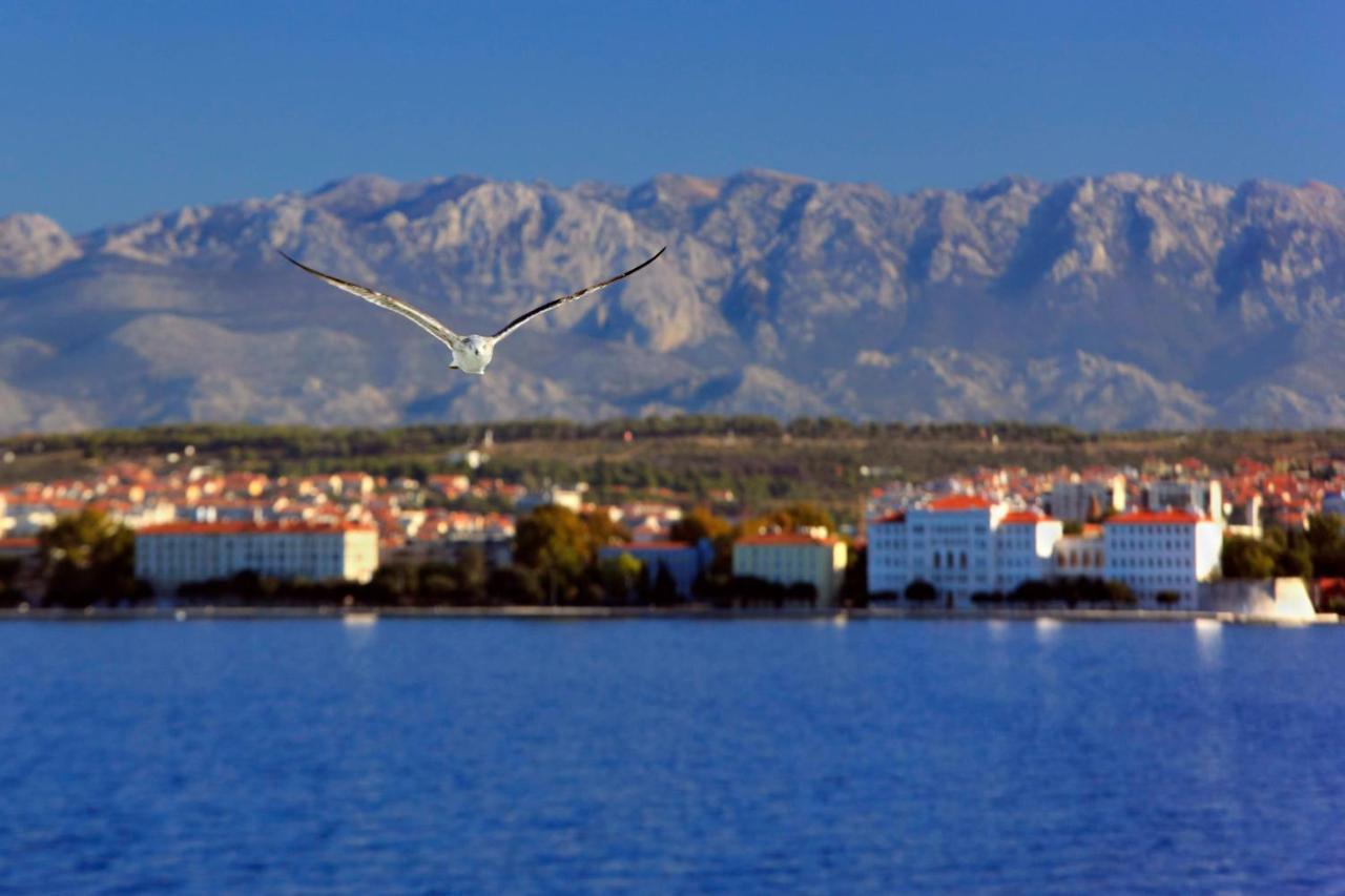 Kuki Apartment With Balcony Zadar Eksteriør bilde